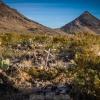 Old Shafter Cemetery
