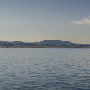 Bragen